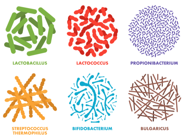 Mikrobiom Praxis